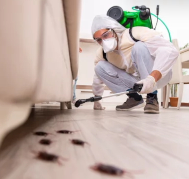 General Pest Control