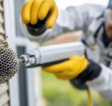 Wasp Control